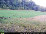 0 Theurer Ln - Photo 10