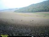 0 Theurer Ln - Photo 40