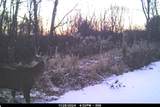 19249 State Highway 56 - Photo 62