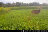 Lt0 County Road S - Photo 24