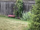 140 Wild Flower Ln - Photo 28