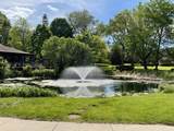 8643 Servite Dr - Photo 17