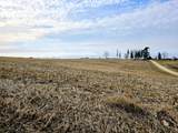 0 Stump Ridge Rd - Photo 6