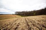 0 Glomstad Rd - Photo 8