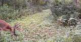 0 265th Ave - Photo 16
