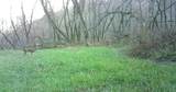 0 265th Ave - Photo 48