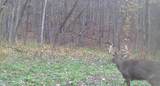 0 265th Ave - Photo 58