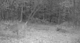 0 265th Ave - Photo 80