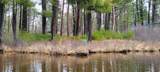 Lt 3-4 Fly Rod Trl - Photo 13
