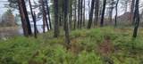 Lt 3-4 Fly Rod Trl - Photo 21