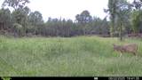 0 Lake Rd - Photo 12