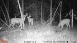 0 Lake Rd - Photo 46
