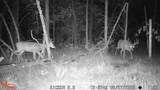 0 Lake Rd - Photo 47