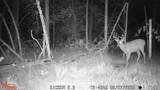 0 Lake Rd - Photo 48