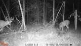 0 Lake Rd - Photo 49