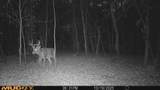 0 Lake Rd - Photo 51