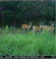 0 Lake Rd - Photo 59