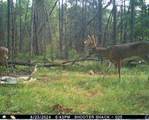 0 Lake Rd - Photo 6