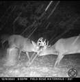 0 Lake Rd - Photo 8