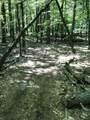 Lt1 Fawn Ln - Photo 4