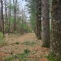Lt1 Fawn Ln - Photo 6
