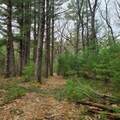 Lt1 Fawn Ln - Photo 7