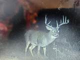 2358 State Hwy 71 - Photo 3