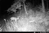 40009 County Rd S - Photo 27
