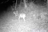 40009 County Rd S - Photo 28