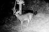 40009 County Rd S - Photo 3