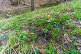 40009 County Rd S - Photo 35