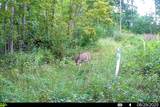 40009 County Rd S - Photo 4