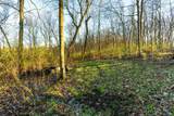 40009 County Rd S - Photo 43