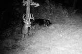 40009 County Rd S - Photo 45