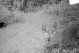 40009 County Rd S - Photo 46