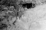 40009 County Rd S - Photo 47