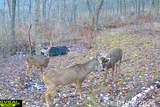 40009 County Rd S - Photo 48