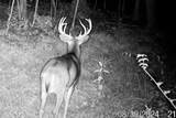 40009 County Rd S - Photo 5