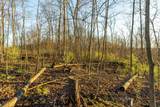 40009 County Rd S - Photo 53