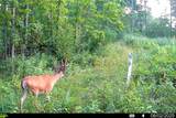 40009 County Rd S - Photo 58