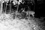 40009 County Rd S - Photo 59