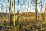 40009 County Rd S - Photo 62