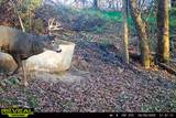 Lt1 Eli Valley Rd - Photo 19
