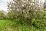 Lt1 Eli Valley Rd - Photo 28