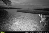 Lt1 Eli Valley Rd - Photo 31