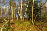 Lt1 Eli Valley Rd - Photo 45