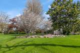 12808 Colony Dr - Photo 31