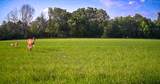 Lt1 Oak Knoll Rd - Photo 25