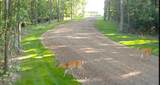Lt1 Oak Knoll Rd - Photo 3