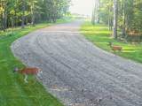 Lt1 Oak Knoll Rd - Photo 32